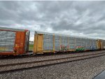 TTGX 971248